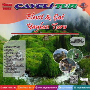 Read more about the article ELEVİT VE ÇAT YAYLASI TURU